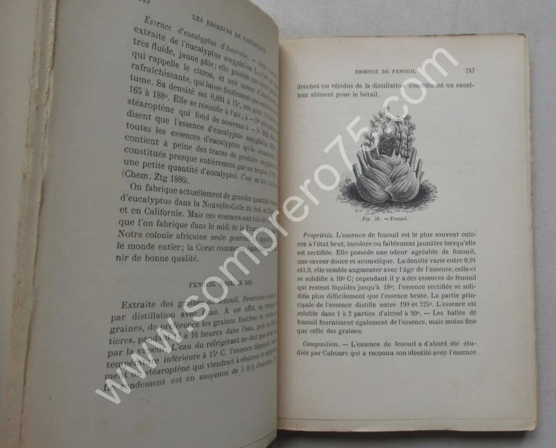 Fabrication des Essences et des Parfums. 1893 - Image 5