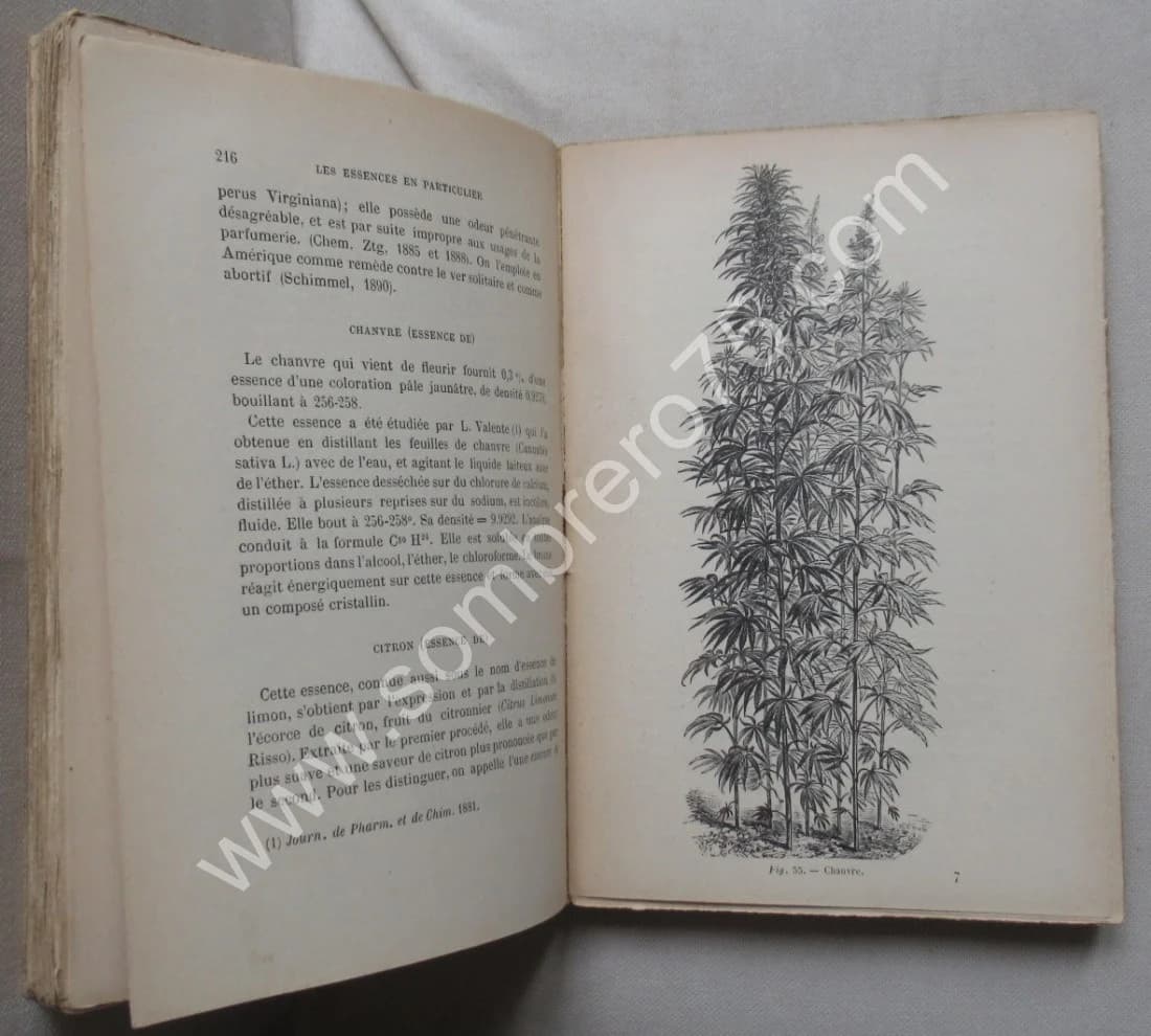 Fabrication des Essences et des Parfums. 1893 - Image 6