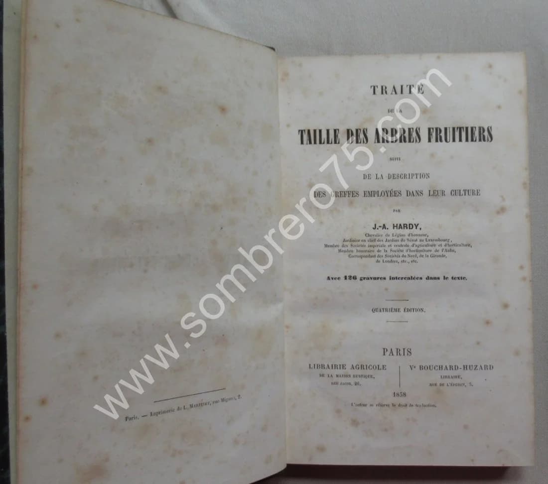 J.A. HARDY. Traité de la Taille des Arbres Fruitiers - Greffes employées dans leur culture
