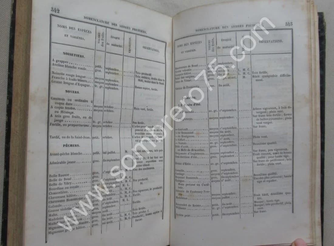 J.A. HARDY. Traité de la Taille des Arbres Fruitiers - Greffes employées dans leur culture - Image 6