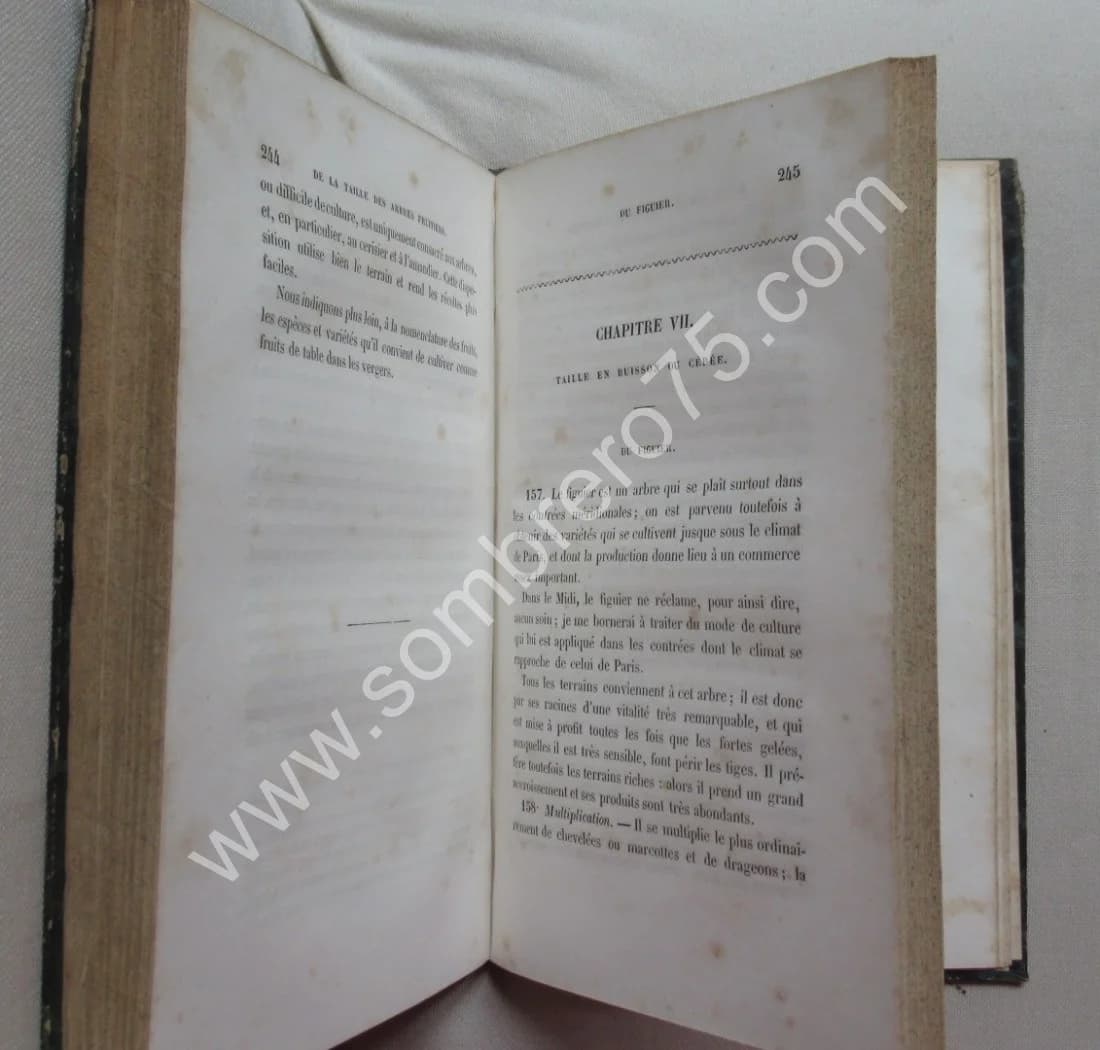 J.A. HARDY. Traité de la Taille des Arbres Fruitiers - Greffes employées dans leur culture - Image 8