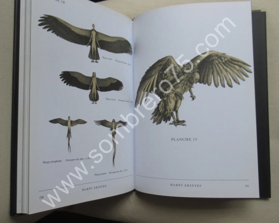 Hudspeth, Eric B. Le Cabinet du Docteur BLACK - Image 6