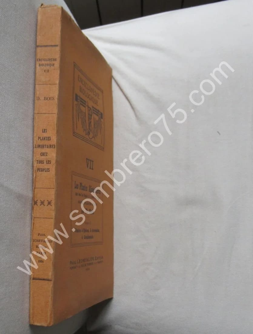 Plantes à épices, à aromates à condiments. Vol VII - Image 2