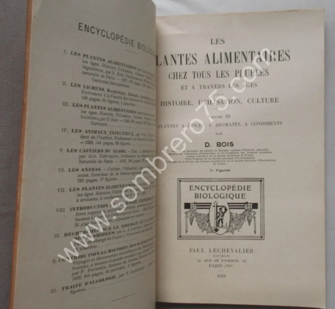 Plantes à épices, à aromates à condiments. Vol VII - Image 3