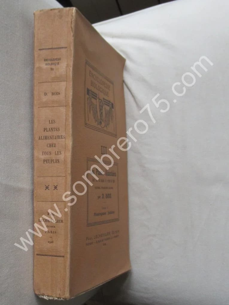 Phanérogames fruitières. 1928 - Image 2