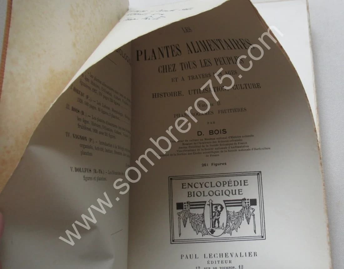 Phanérogames fruitières. 1928 - Image 3