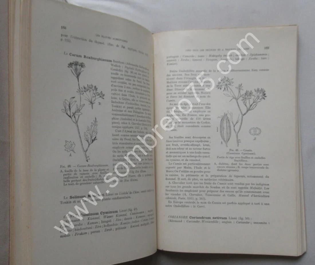 Phanérogames fruitières. 1928 - Image 4