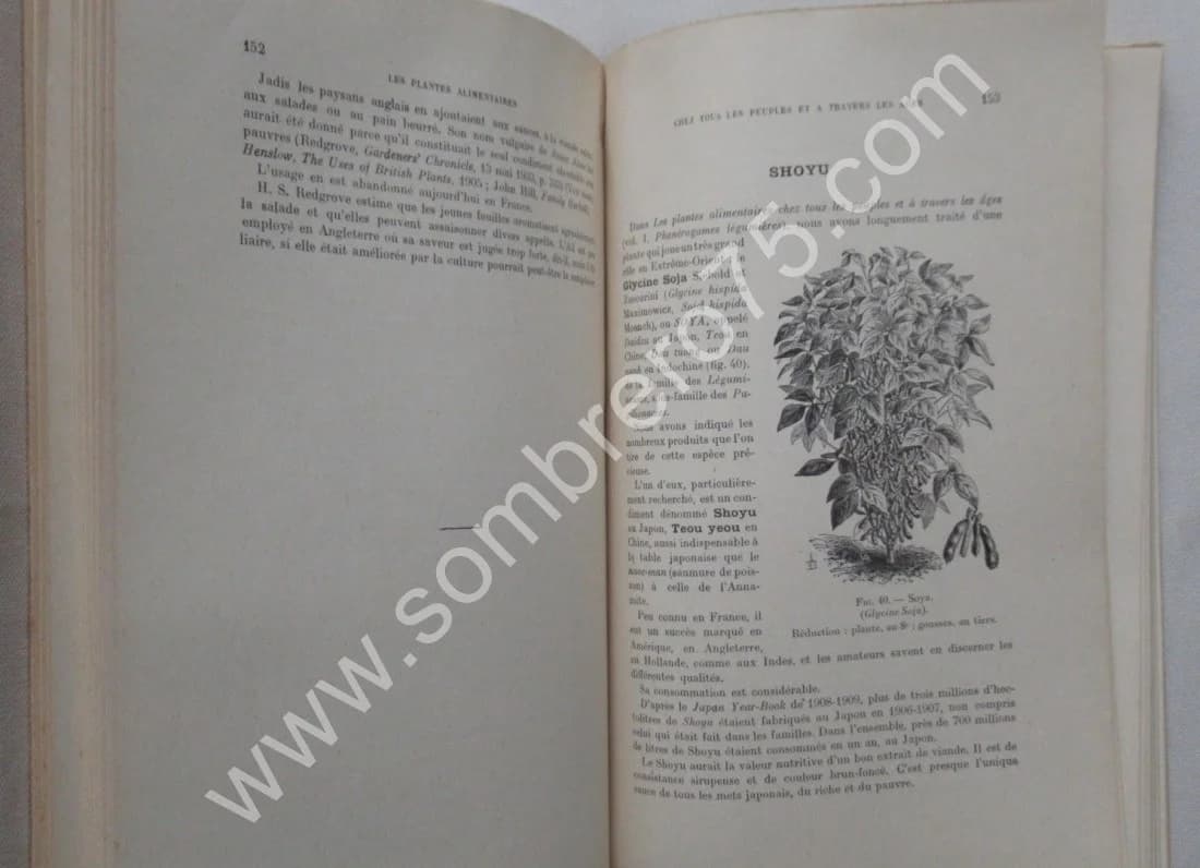 Phanérogames fruitières. 1928 - Image 5