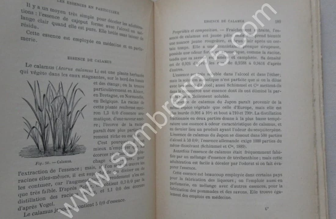 Phanérogames fruitières. 1928 - Image 6