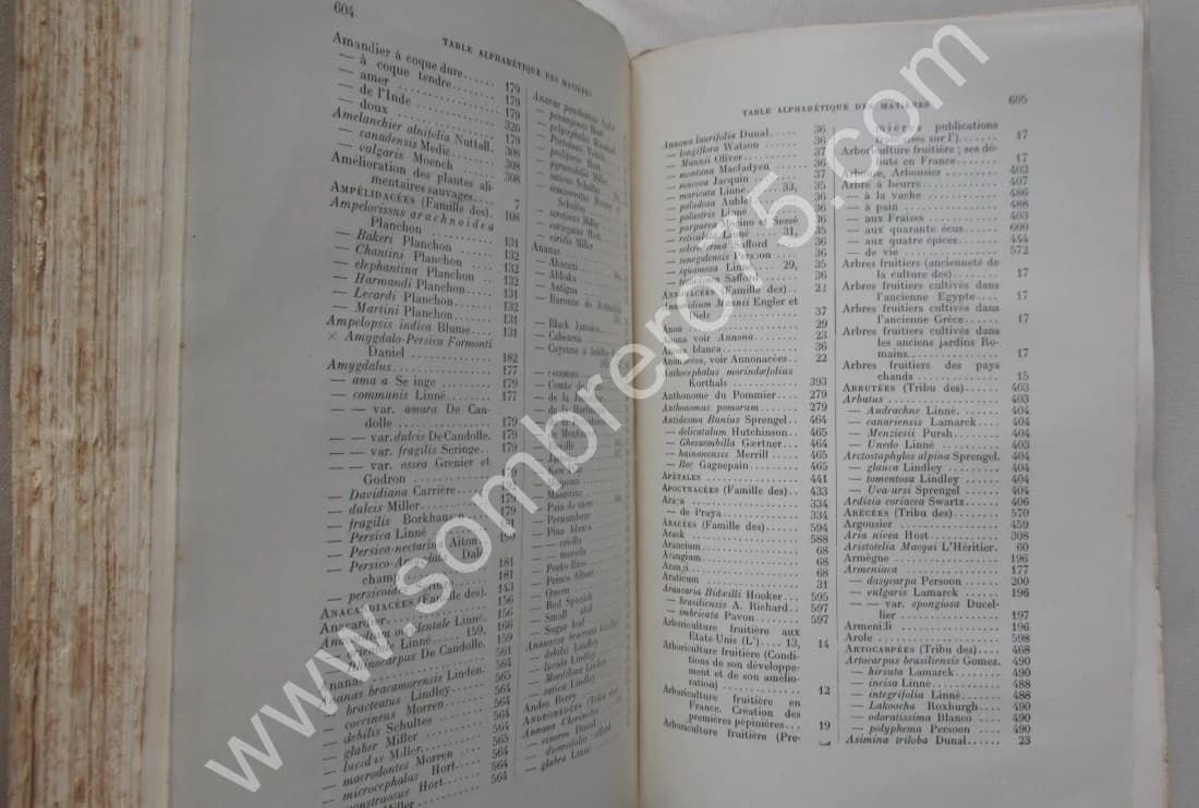 Phanérogames fruitières. 1928 - Image 9