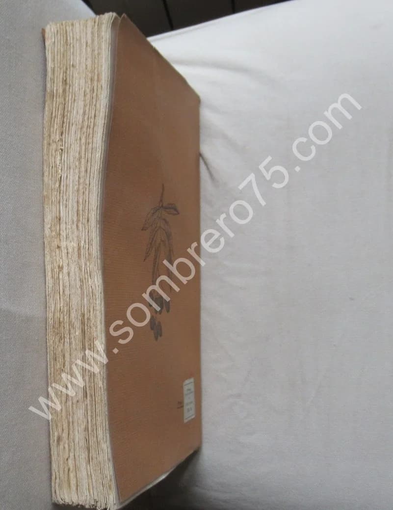 Phanérogames fruitières. 1928 - Image 10