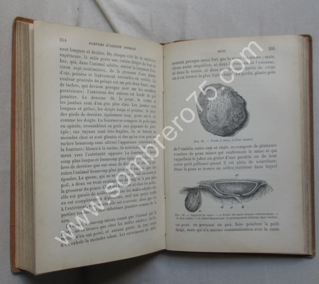 Histoire des Parfums et Hygiène de la Toilette. 1890 - Image 5