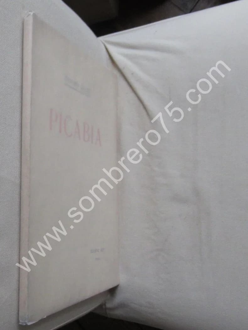 Edouard ANDRE. PICABIA. Le Peintre & L'Aqua-Fortiste. Eug. REY. E.O - Image 2