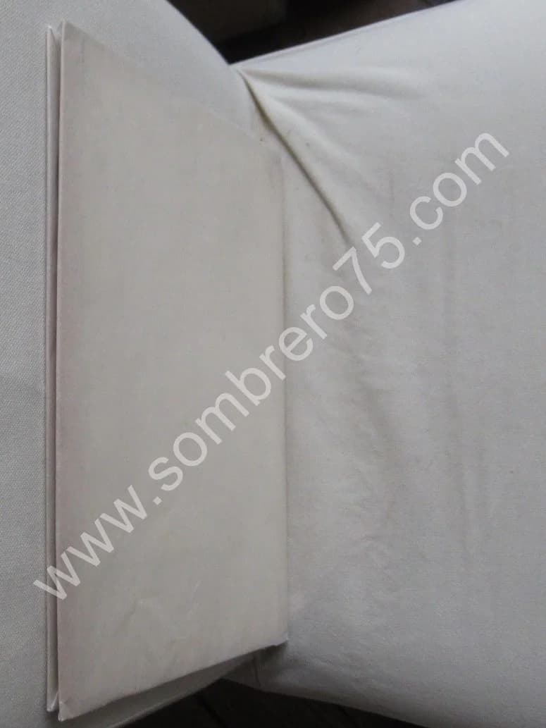 Edouard ANDRE. PICABIA. Le Peintre & L'Aqua-Fortiste. Eug. REY. E.O - Image 13