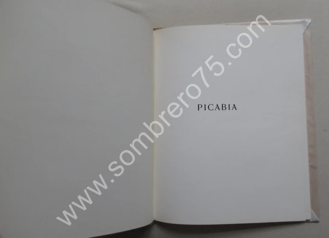 Edouard ANDRE. PICABIA. Le Peintre & L'Aqua-Fortiste. Eug. REY. E.O - Image 4