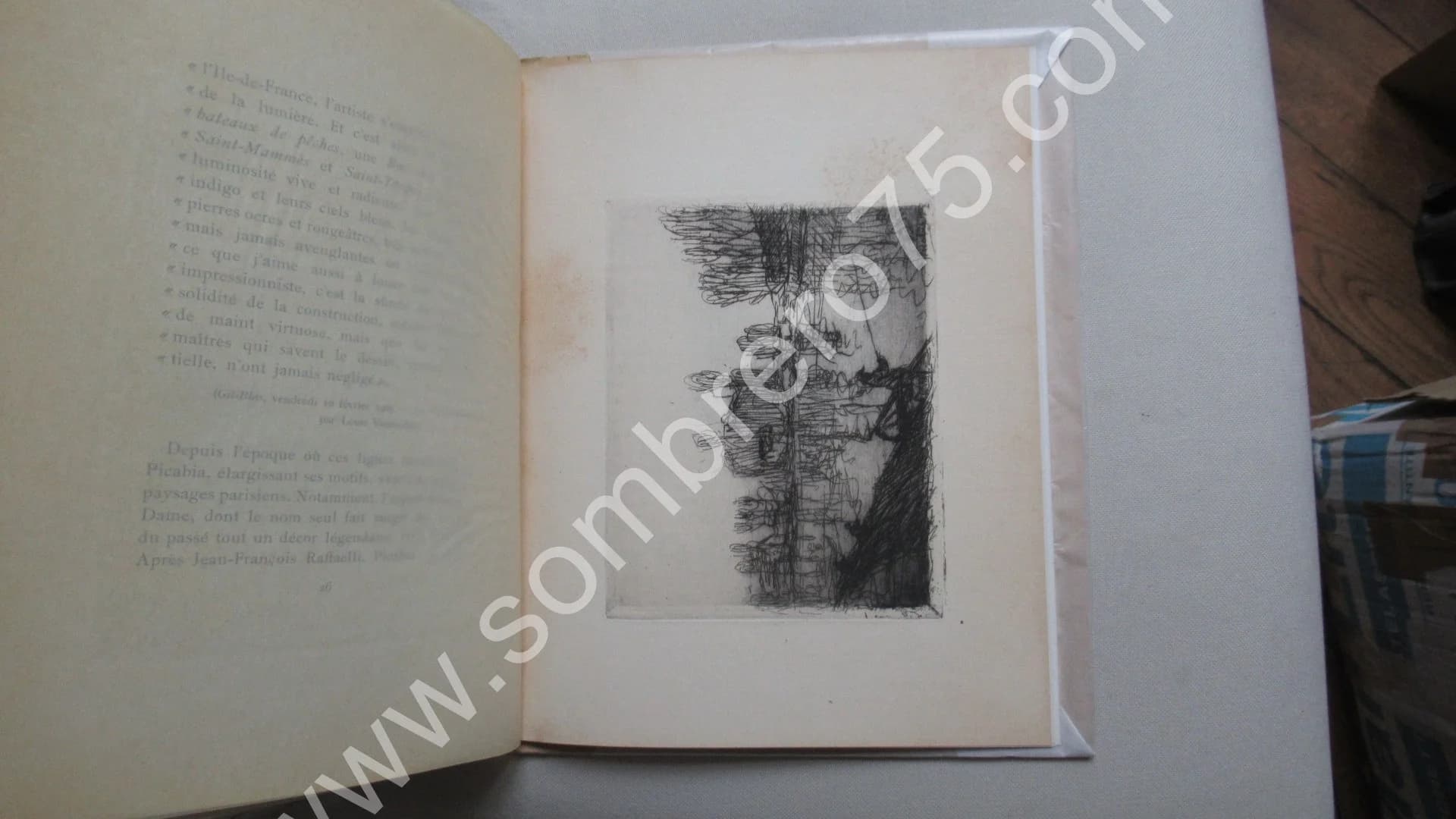 Edouard ANDRE. PICABIA. Le Peintre & L'Aqua-Fortiste. Eug. REY. E.O - Image 8