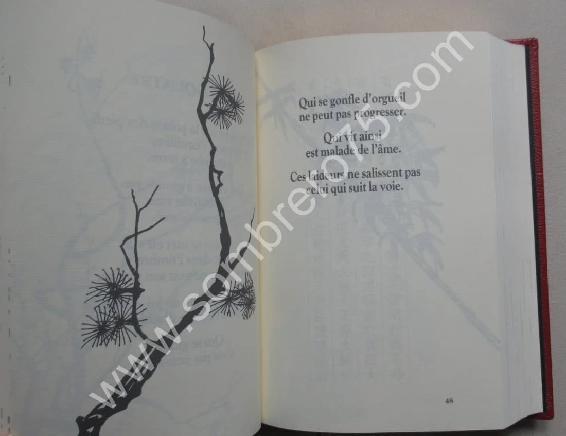 - Tao Tö King. Le livre de la voie et de la vertu - Image 5