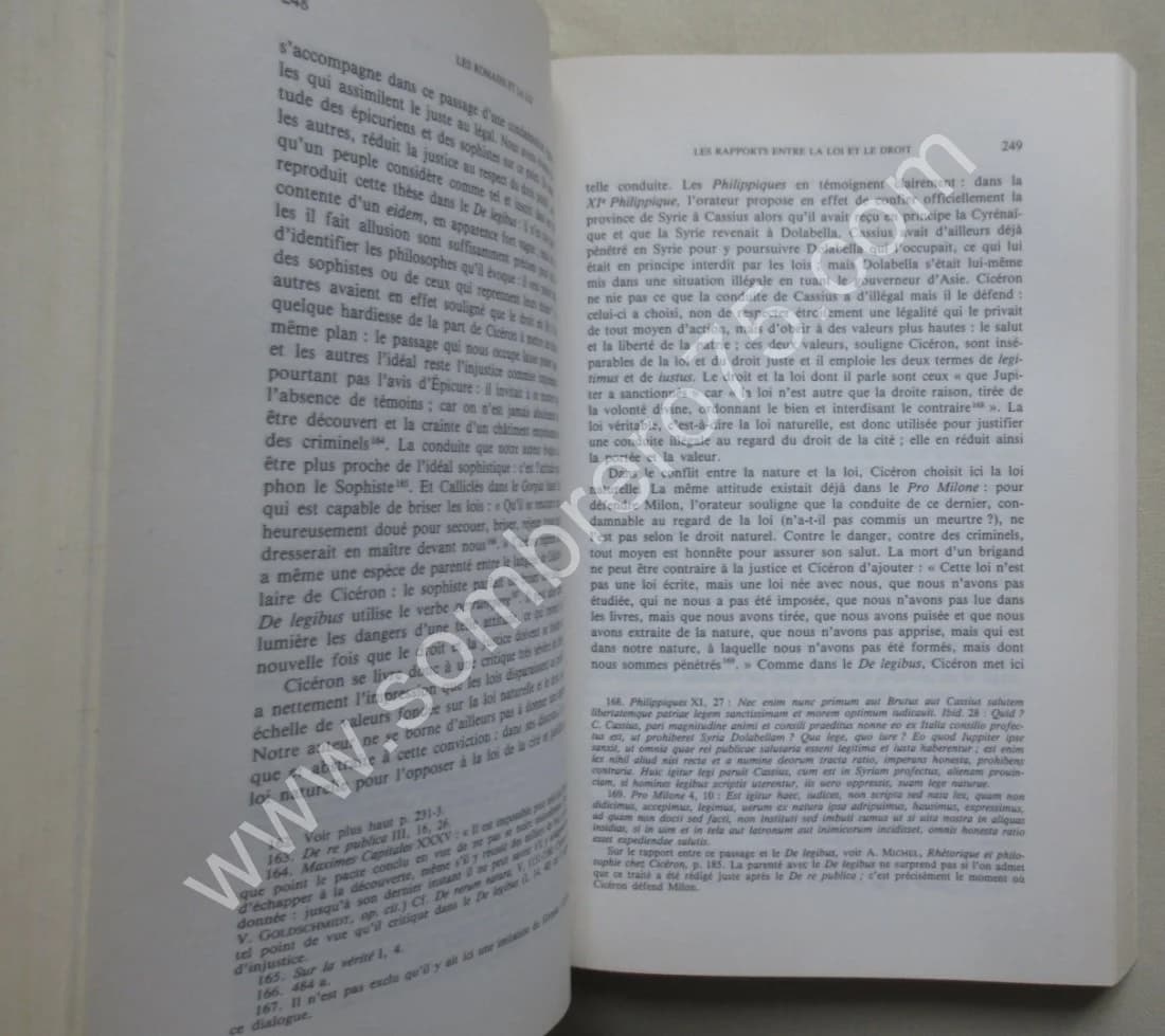 Les Romains et la Loi - Image 4