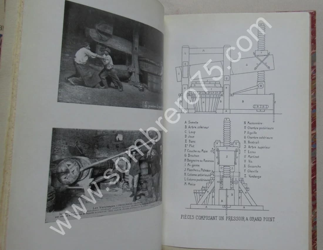 Le Langage Populaire de Mâcon. 1926 - Image 3