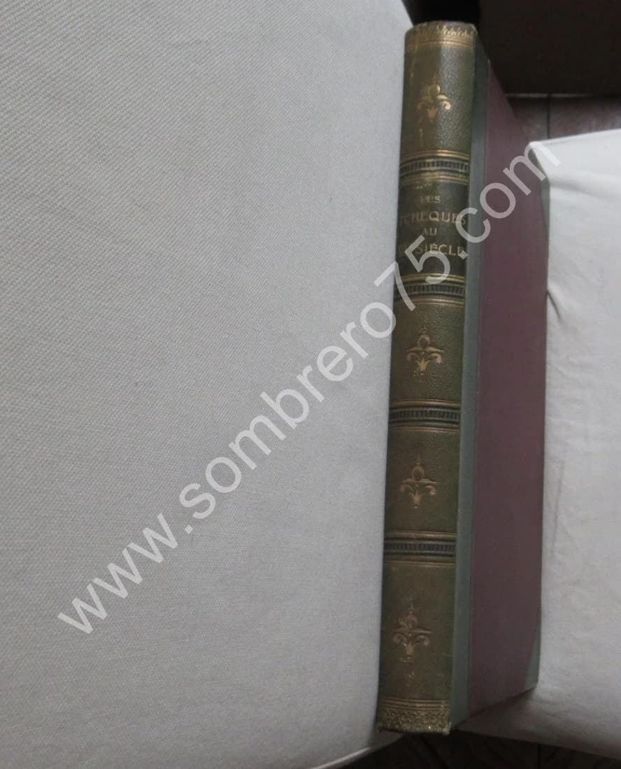 Les Tchèques au XIXe Siècle. 1900