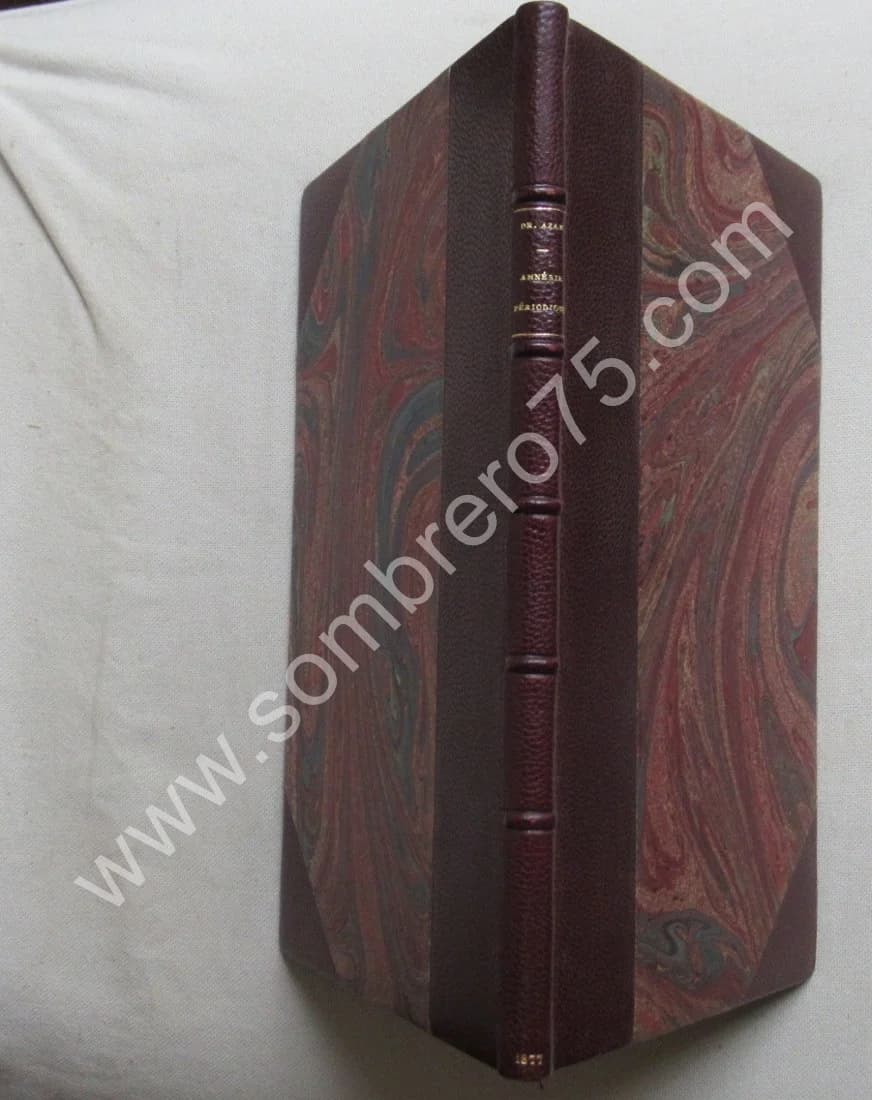 Amnésie Périodique ou Dédoublement de la Personnalité. DR AZAM. 1877