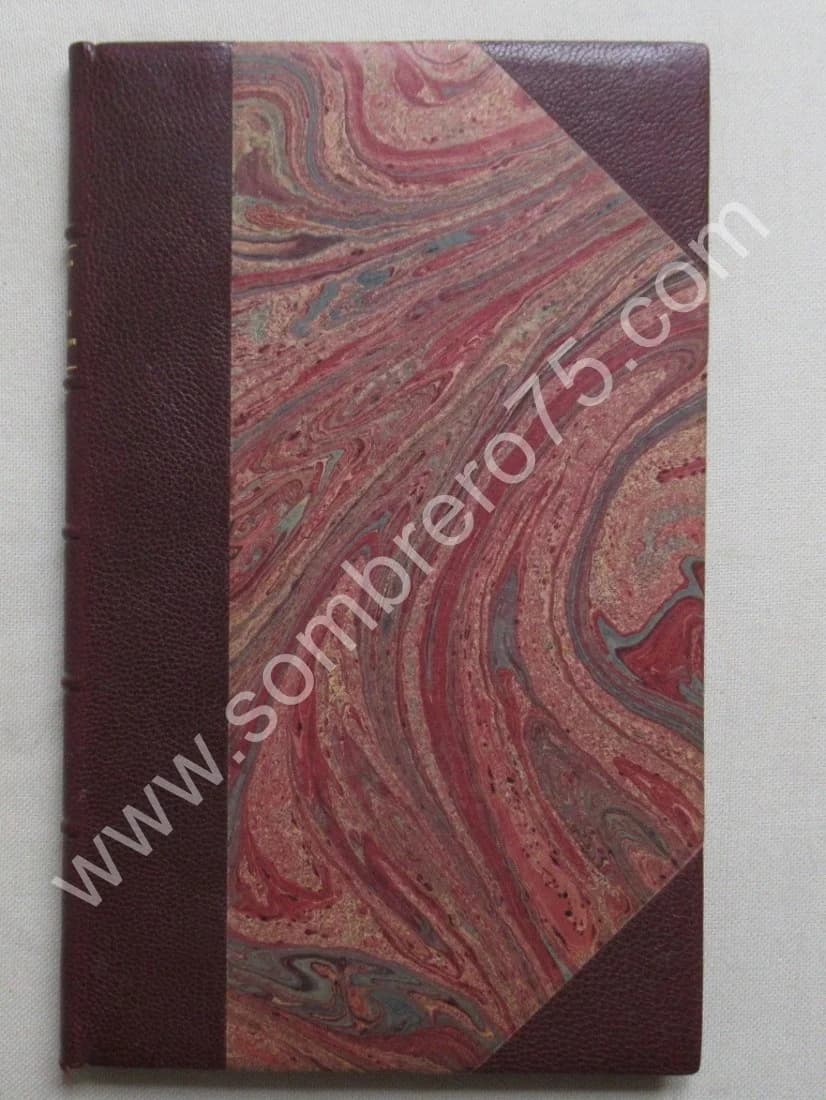 Amnésie Périodique ou Dédoublement de la Personnalité. DR AZAM. 1877 - Image 2