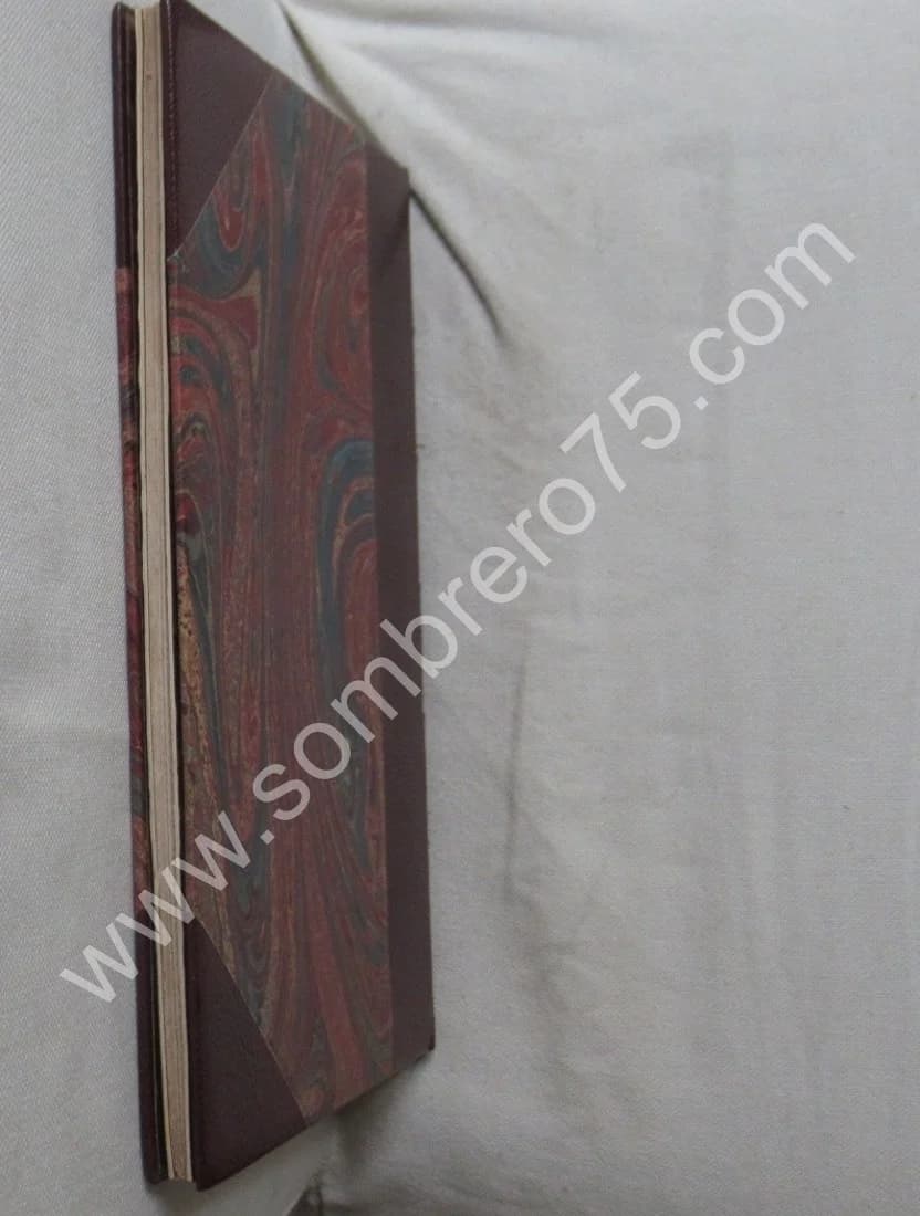 Amnésie Périodique ou Dédoublement de la Personnalité. DR AZAM. 1877 - Image 7