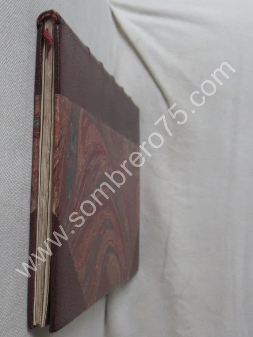 Amnésie Périodique ou Dédoublement de la Personnalité. DR AZAM. 1877 - Image 8