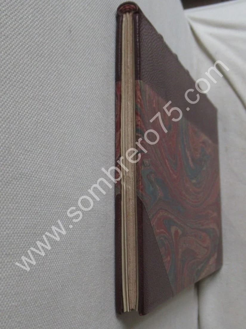 Amnésie Périodique ou Dédoublement de la Personnalité. DR AZAM. 1877 - Image 9