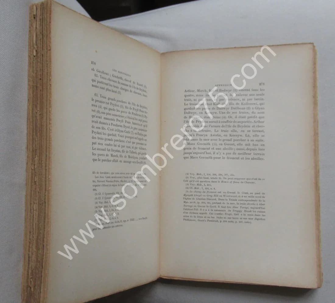 Pierre LOTH. Les Mabinogion du Livre Rouge de Hergest - 2 Tomes - Image 6