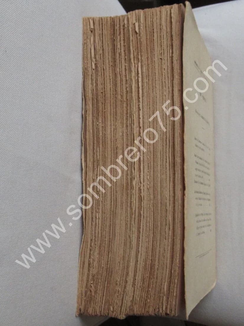 Pierre LOTH. Les Mabinogion du Livre Rouge de Hergest - 2 Tomes - Image 8