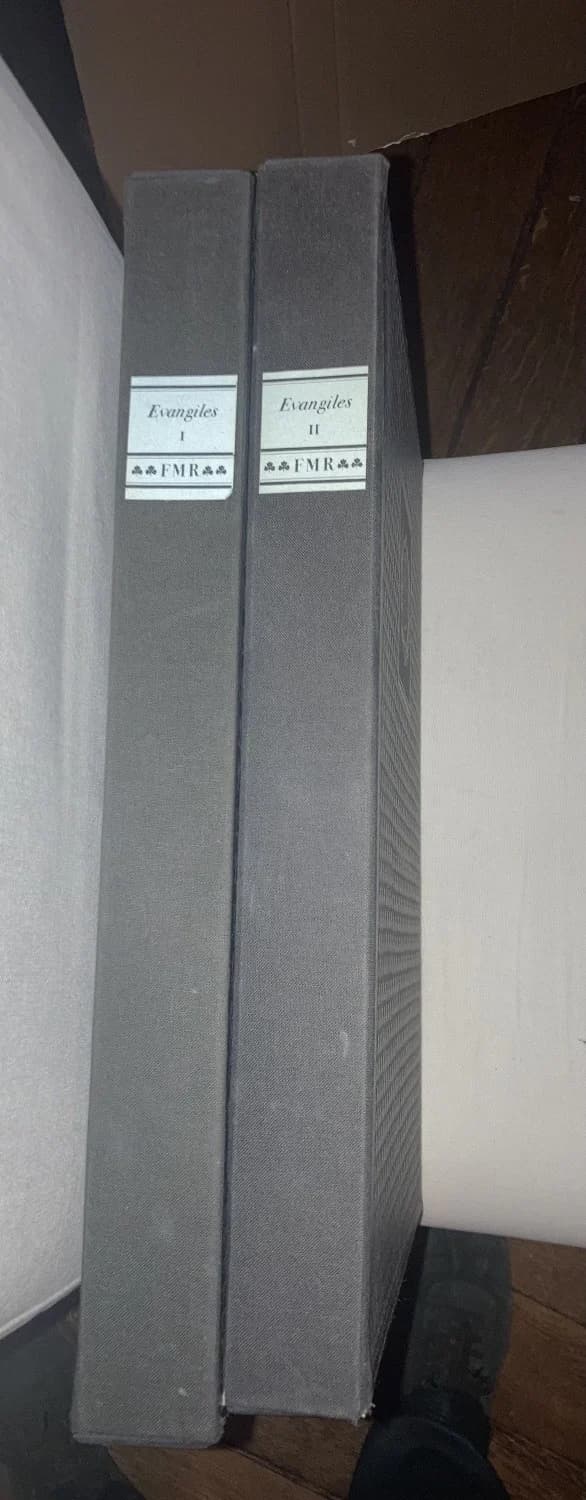 Les Evangiles avec le Plafond Roman de Zillis 2 Tomes - Image 2