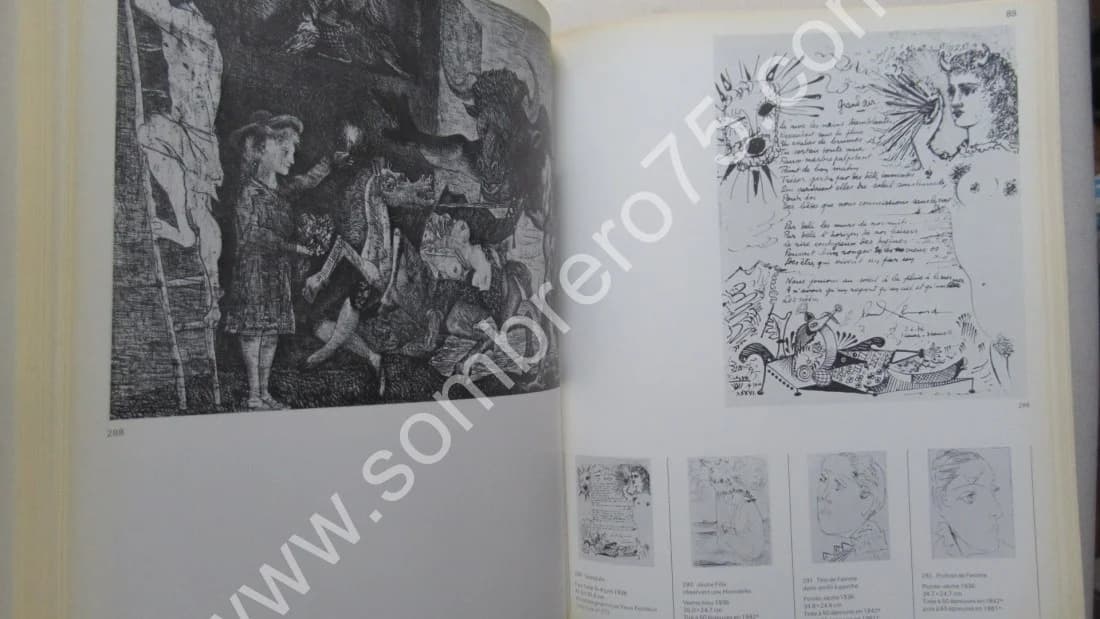 PICASSO Catalogue de l'Oeuvre Gravé et Lithographié. 1904 -1967 - Image 5