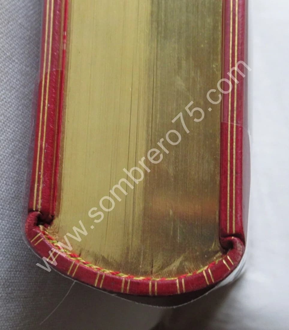 E. DOUMERGUE. La Genève Calviniste. 1905 - Image 3