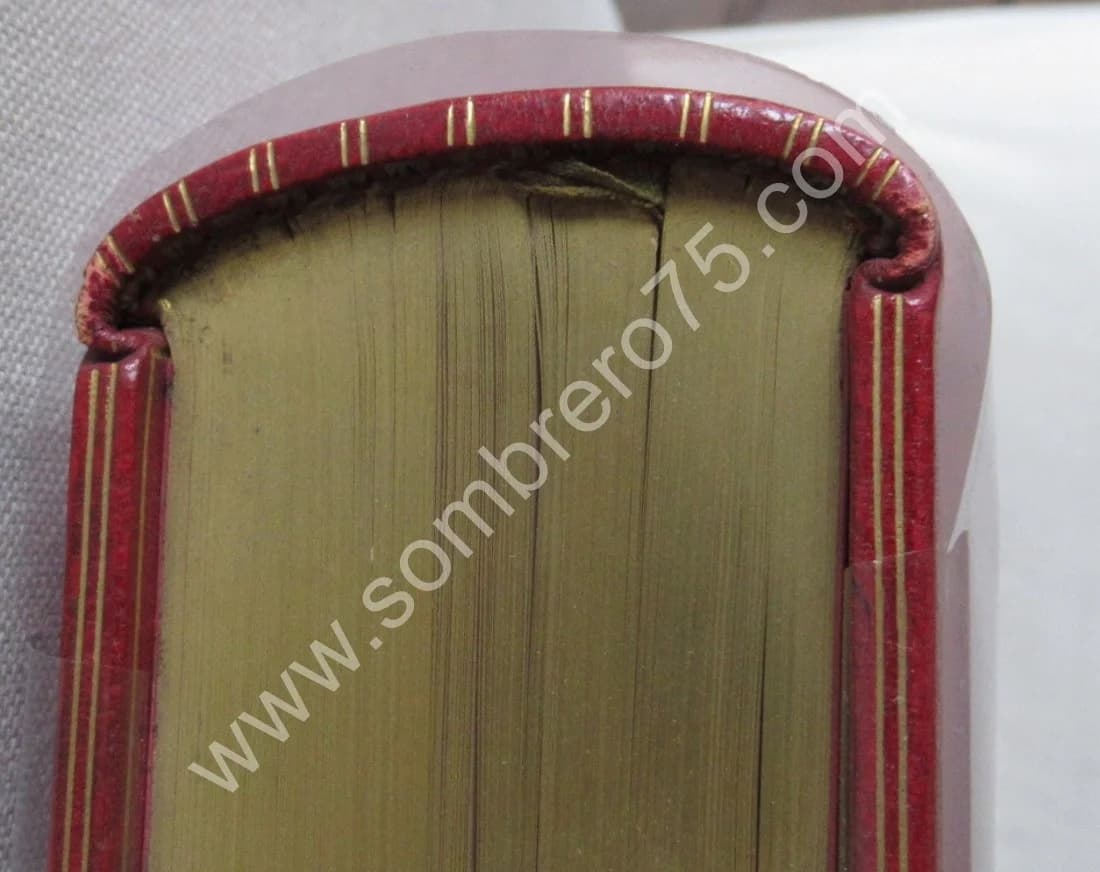 E. DOUMERGUE. La Genève Calviniste. 1905 - Image 4