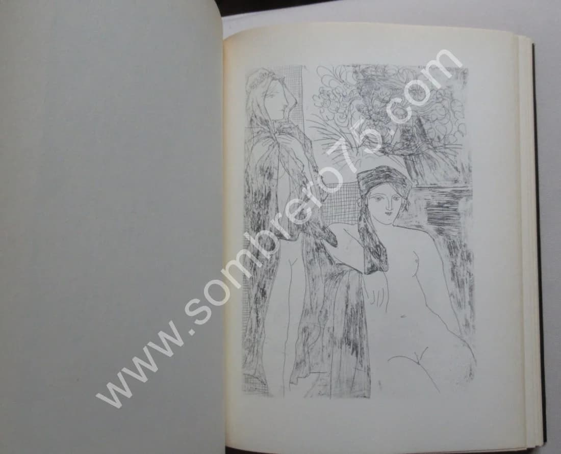 Pablo Picasso - Suite Vollard. Hans BOLLIGER - Image 5