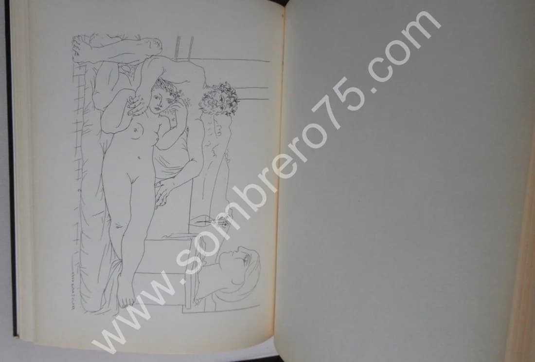 Pablo Picasso - Suite Vollard. Hans BOLLIGER - Image 6