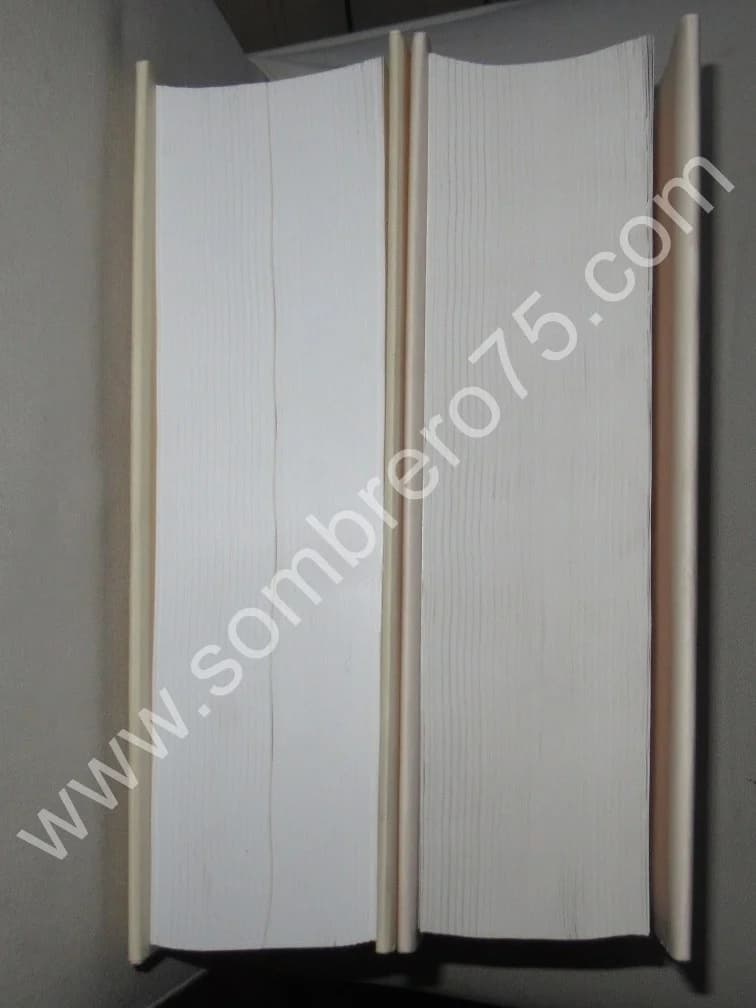 Le Poëte et la Bible - 2 Tomes - Image 6