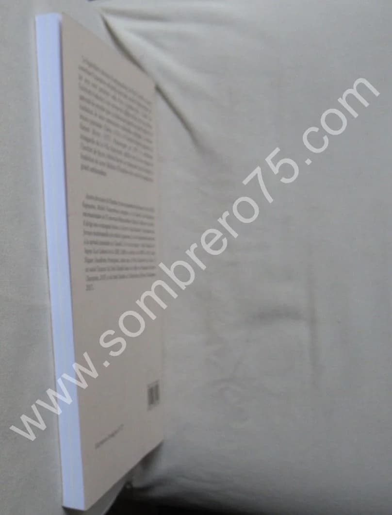 Les Arches d'Or de Paul Claudel - Image 6