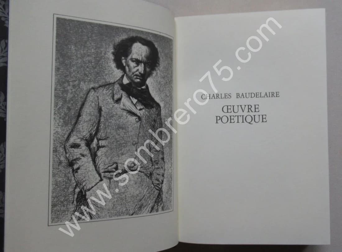 L'œuvre poétique de Charles BAUDELAIRE - Image 3