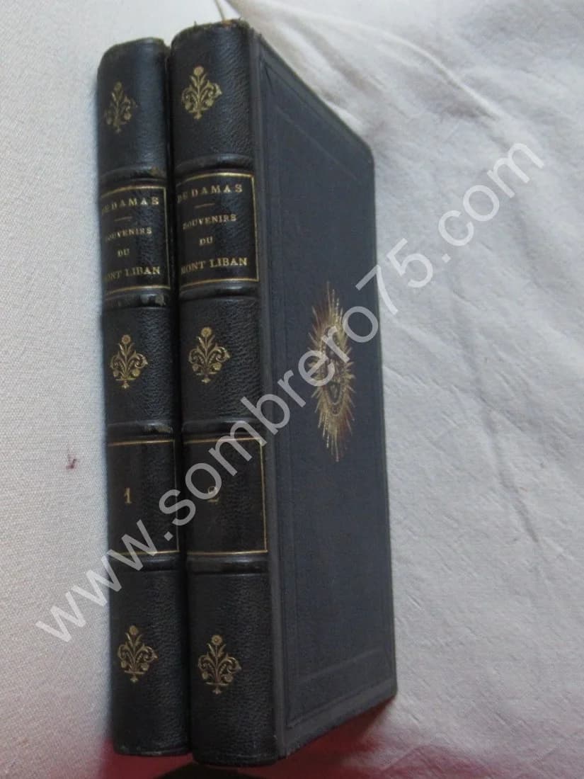 R. P. DE DAMAS. Souvenirs du Mont Liban 2 Tomes