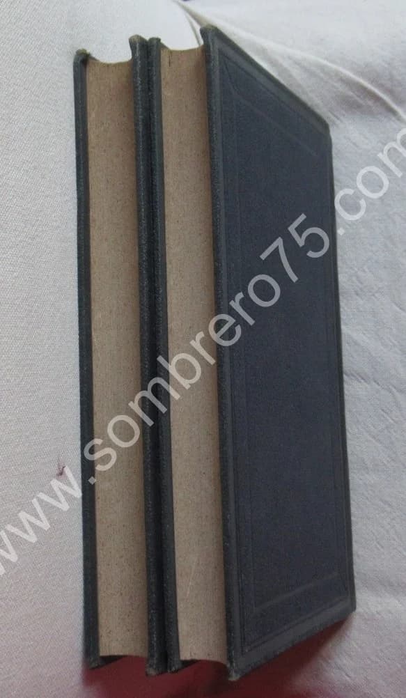 R. P. DE DAMAS. Souvenirs du Mont Liban 2 Tomes - Image 12