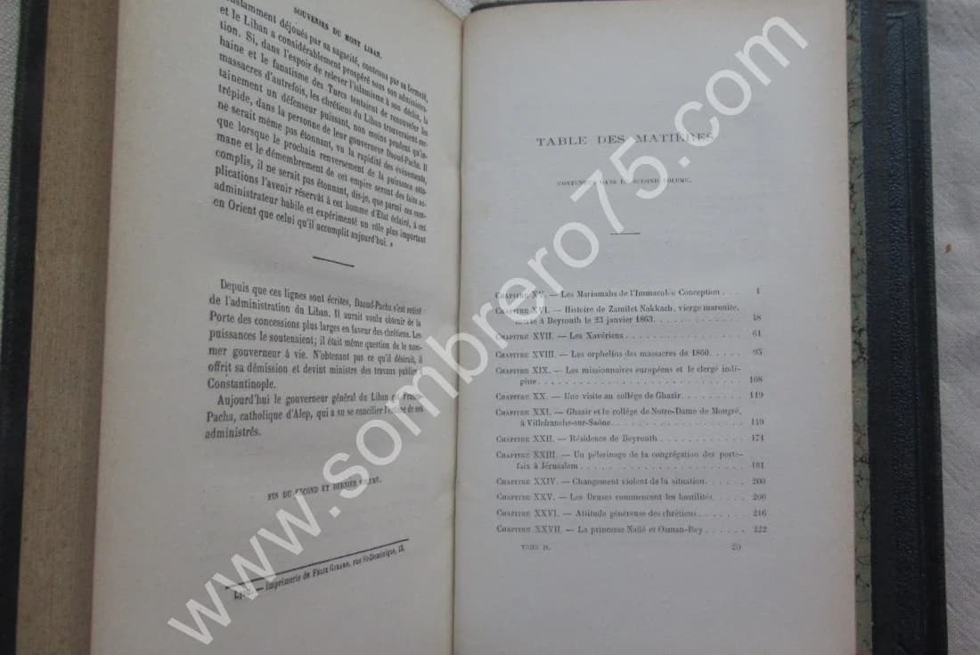 R. P. DE DAMAS. Souvenirs du Mont Liban 2 Tomes - Image 5
