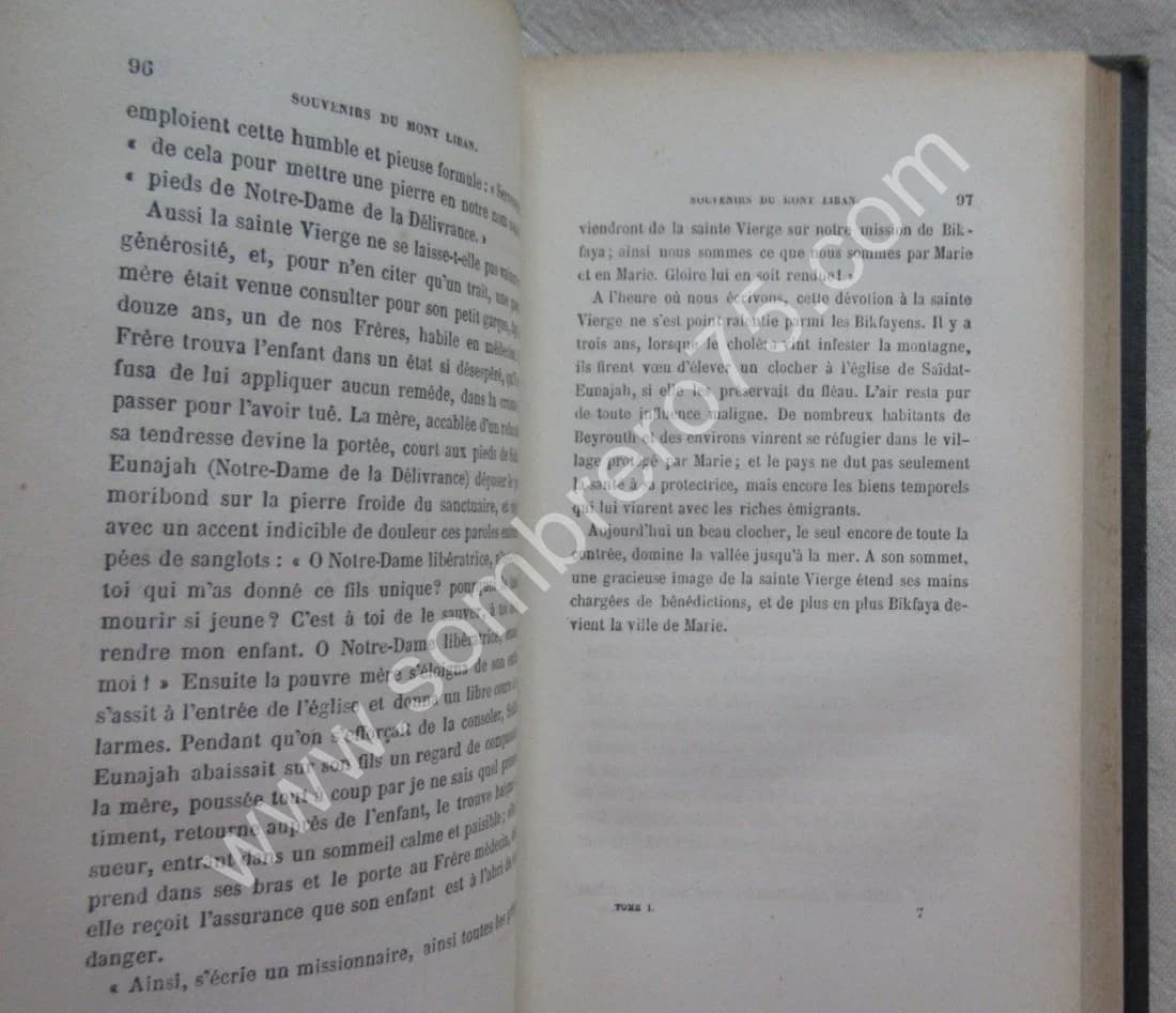 R. P. DE DAMAS. Souvenirs du Mont Liban 2 Tomes - Image 8