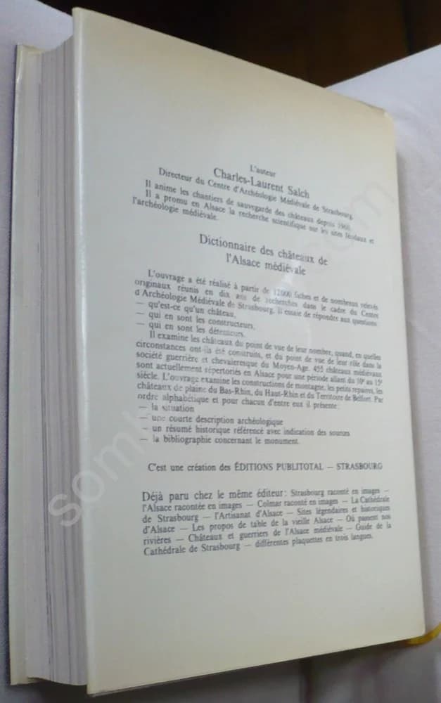 Dictionnaire des Châteaux de l'Alsace Médiévale - Image 2