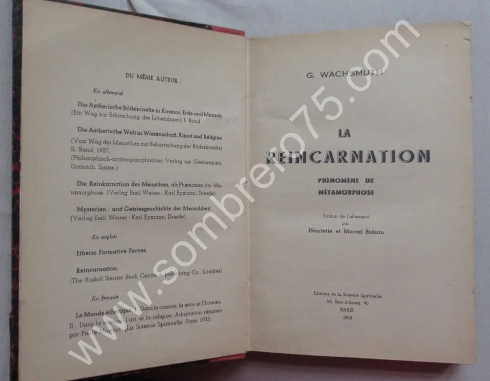La Réincarnation. Phénomène de Métamorphose - Image 4