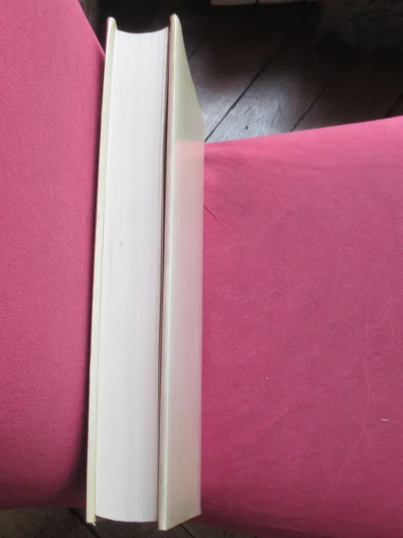 Le Sidaner. L'Oeuvre Peint et Gravé.  Yann Farinaux. SAURET 1989 - Image 9