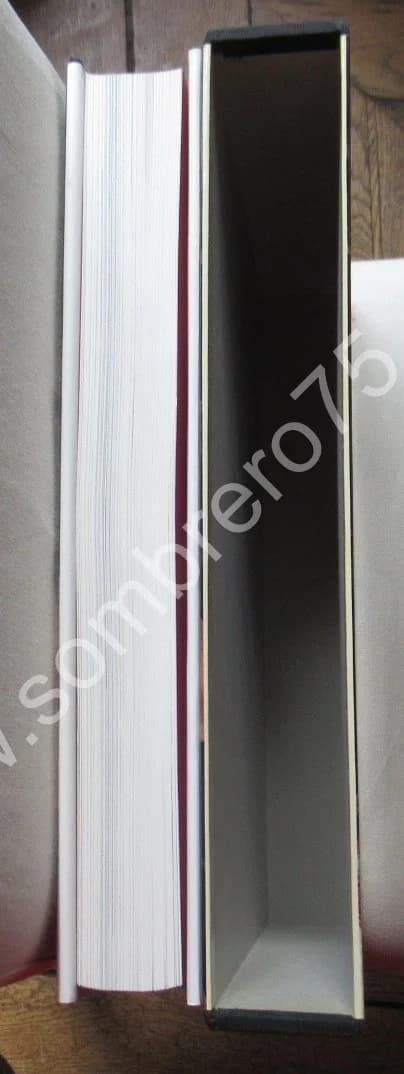 BOTTICELLI - Image 11