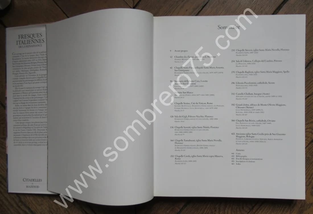 Fresques Italiennes de la Renaissance 1470 - 1510. St. ROETTGEN - Image 6