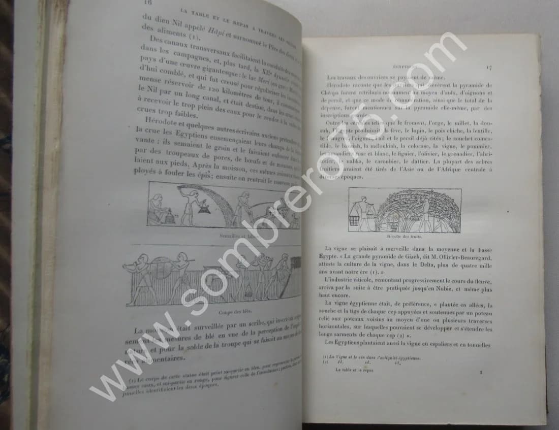 La Table et le Repas à travers les Siècles - Image 5